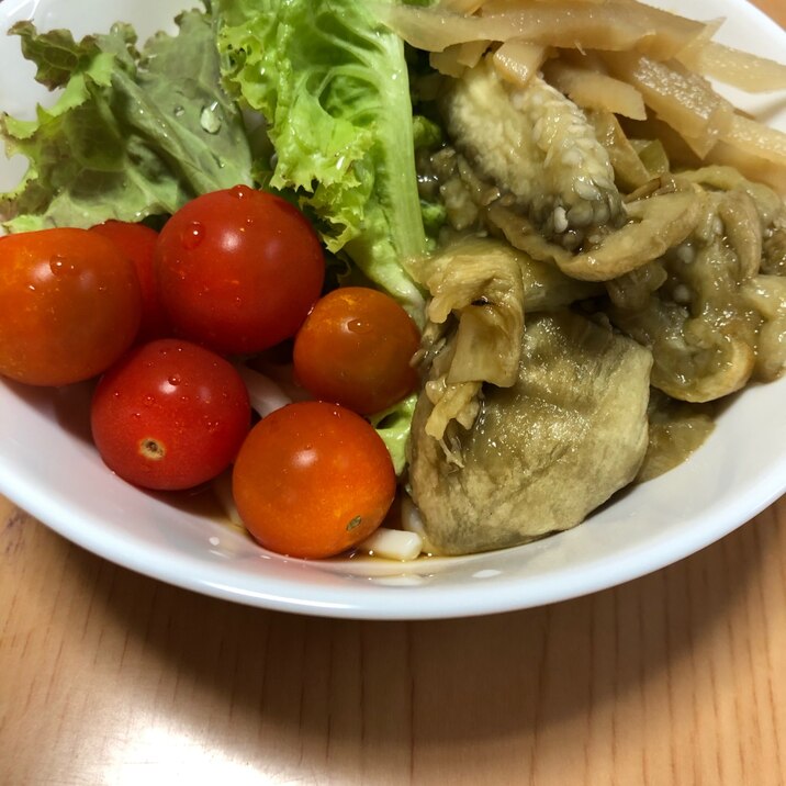 生野菜と茄子と新生姜の冷やしうどん(^ ^)